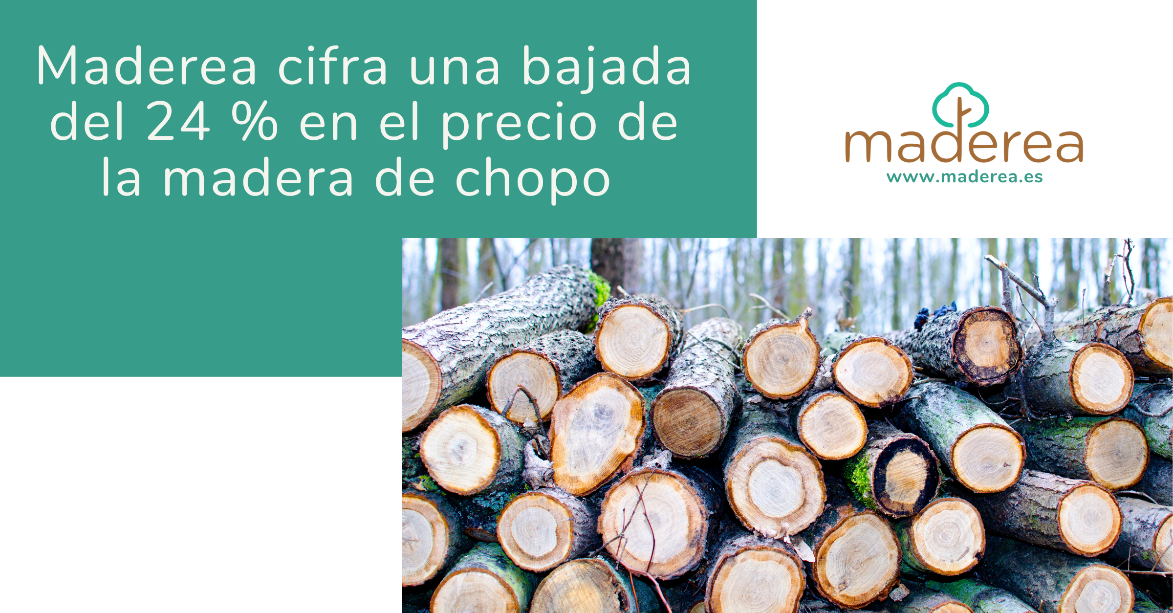 Maderea cifra una bajada del 24 en el precio de la madera de chopo durante el 2024
