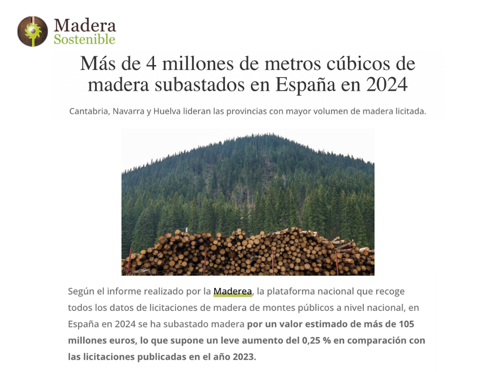  millones de metros cúbicos de madera subastados en España en 2024