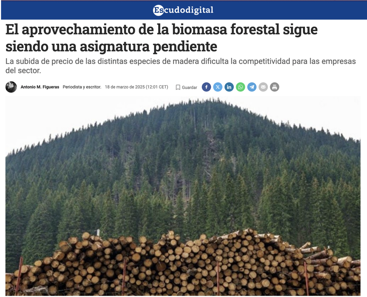 El aprovechamiento de la biomasa forestal sigue siendo una asignatura pendiente