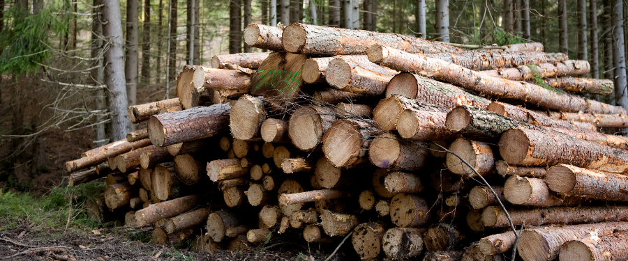 Aprovechamientos de madera