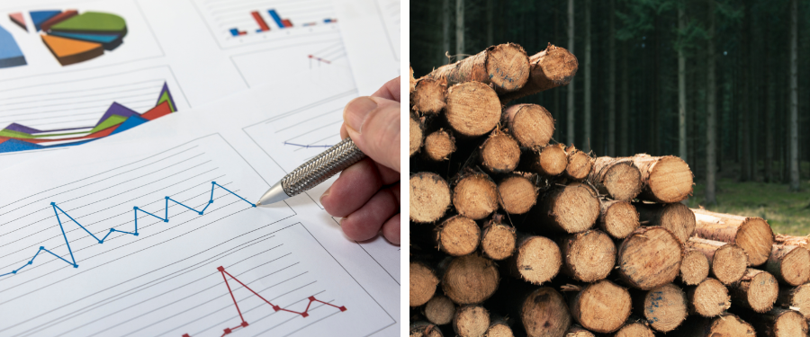 Cómo calcular el precio de la madera