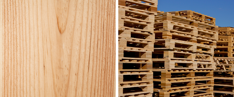 ventajas de la madera de pino radiata en embalajes industriales