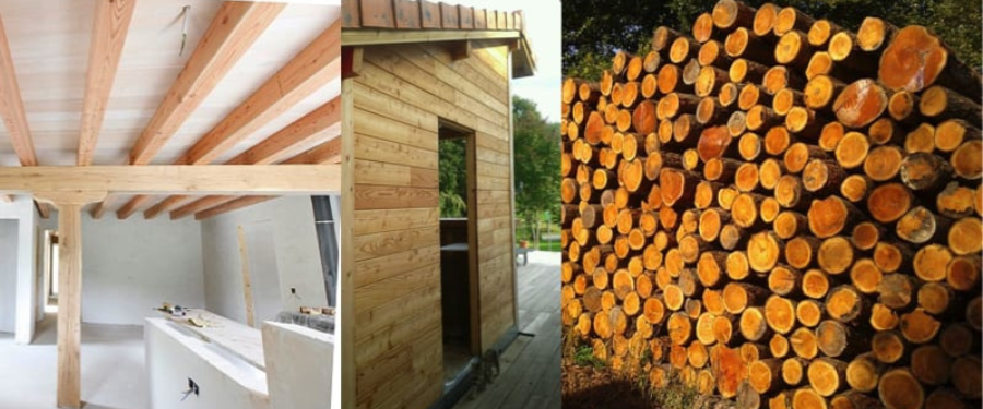 Vigas de madera de alerce Serrería aleman