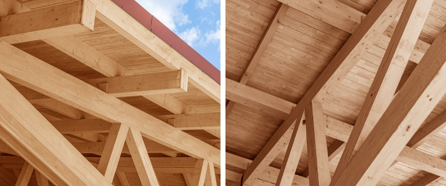 5 especies de madera ideales para uso estructural