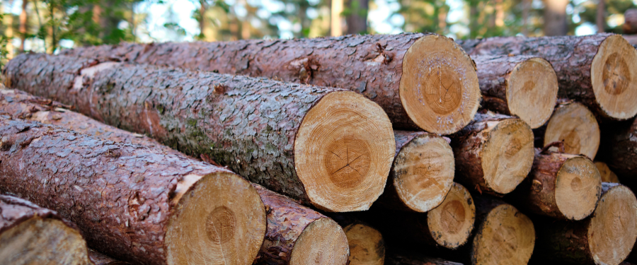 5 ventajas de trabajar con madera certificada