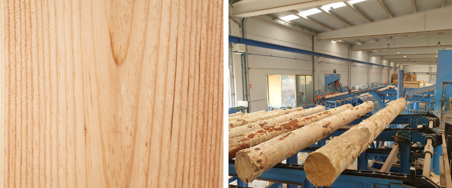 5 cosas que no sabías sobre la madera de pino radiata