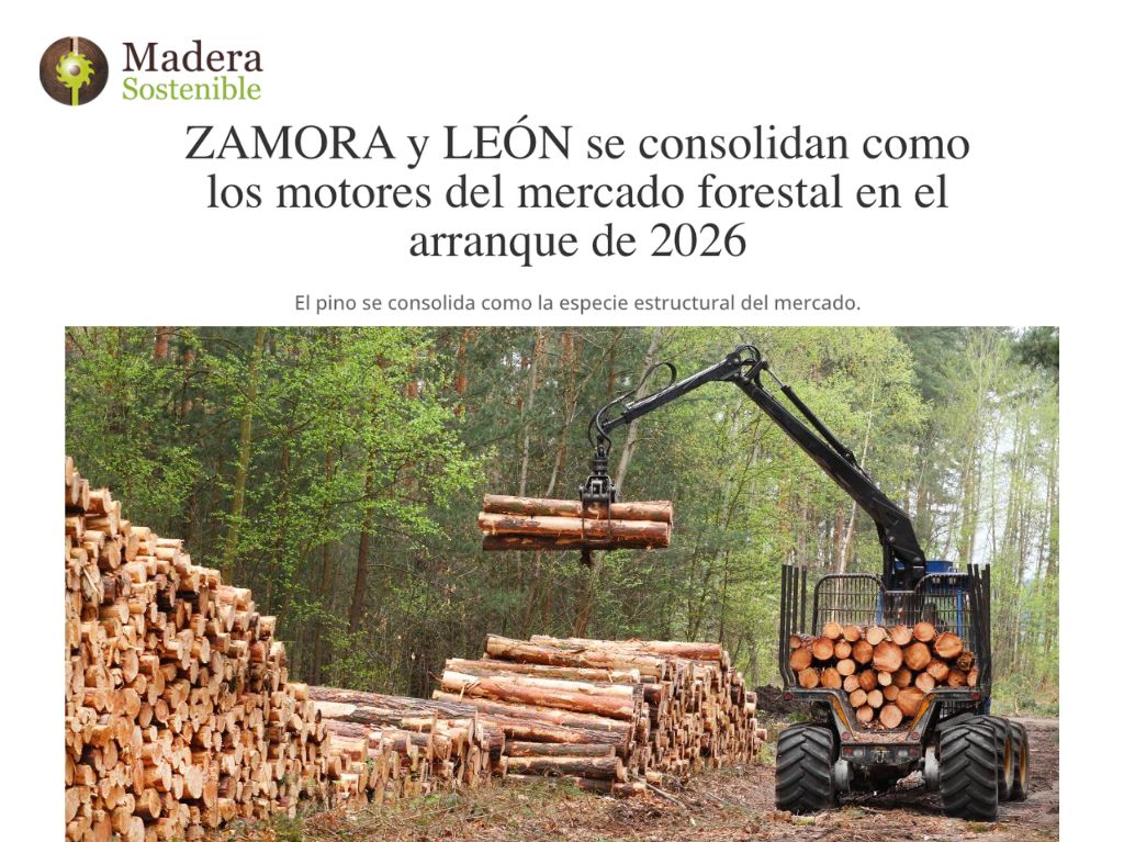 ZAMORA y LEÓN se consolidan como los motores del mercado forestal en el arranque de 2026