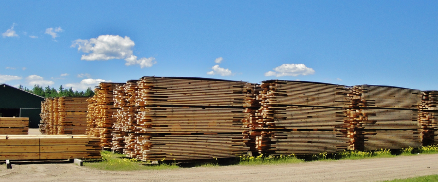 madera de coniferas madera de coniferas