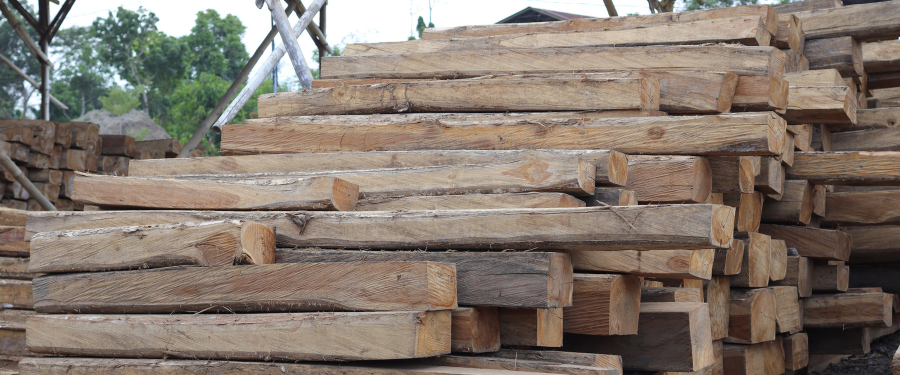 madera de frondosas madera de frondosas