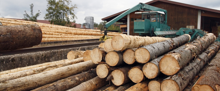 Los 5 pasos clave en la transformación de la madera en el aserradero