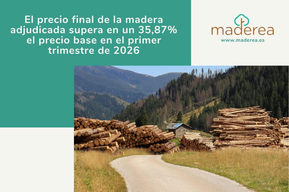 Cabecera noticia adjudicaciones 1T26