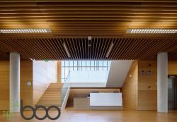 Revestimientos de madera