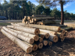 Madera en rollo-nacional