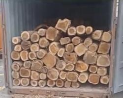 Aserrada-importación