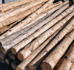 Madera en rollo-nacional