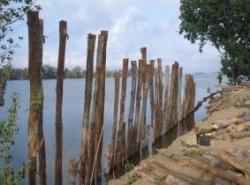 Madera en rollo-nacional