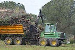 Aprovechamientos forestales