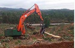 Aprovechamientos forestales