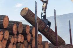 Aprovechamientos forestales