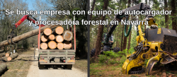 Aprovechamientos forestales