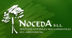 NOCEDA SL