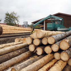 MADERAS CALVE S.L. MADERAS CALVE S.L.