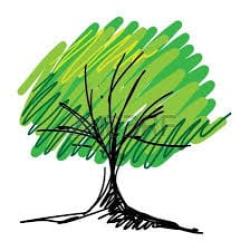 POPLAR SRLS